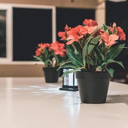 Casa de Férias The Mills House Kallithea (Zakynthos)