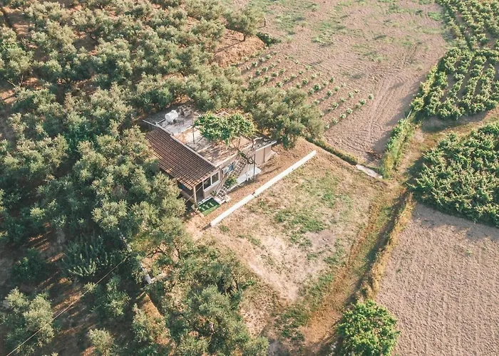 The Mills House *